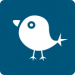 Blog Entries About Social Media